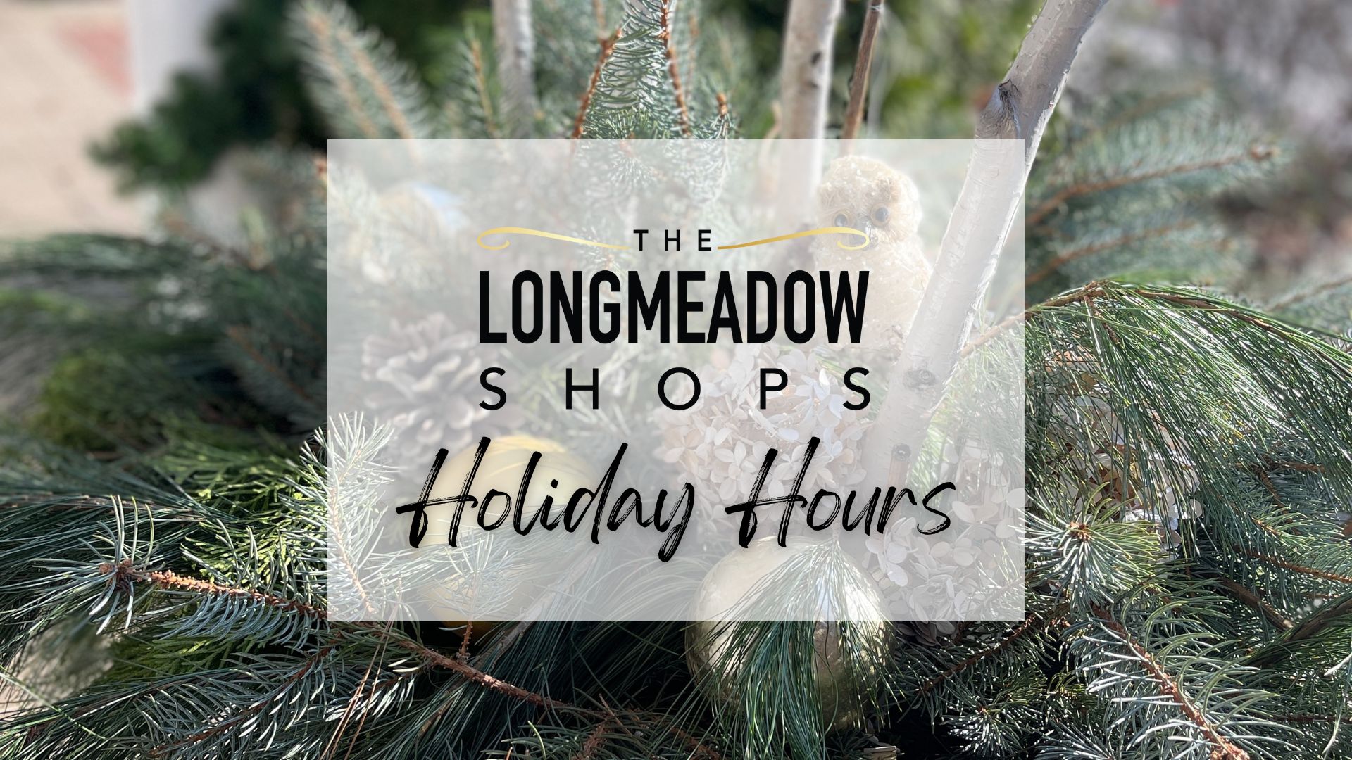 Holiday Hours 2025 Holiday Hours